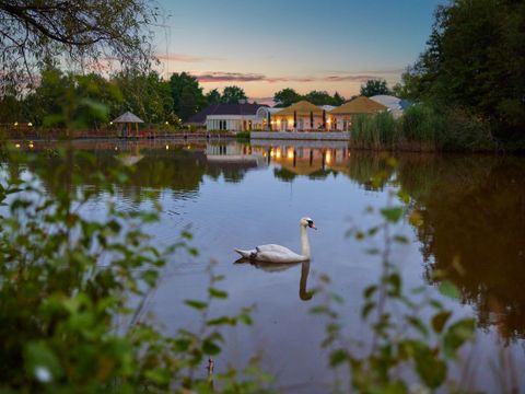Center Parcs Limburgse Peel - Horst an der Maas - Afbeelding N°29