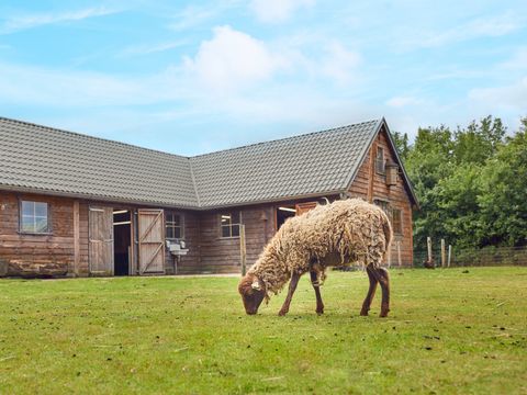 Center Parcs Limburgse Peel - Horst an der Maas - Afbeelding N°13