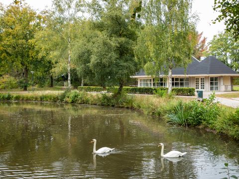 Center Parcs Limburgse Peel - Horst an der Maas - Afbeelding N°9