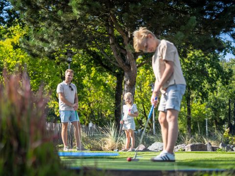 Landal Vakantiepark Hunzedal - Borger-Odoorn - Afbeelding N°3