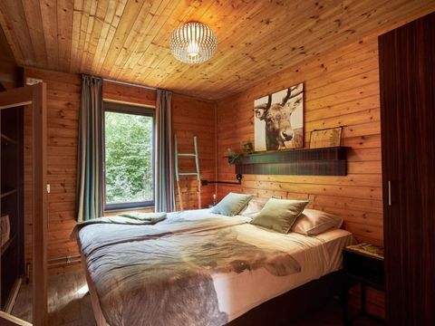 Vakantiepark Dierenbos - Meierijstad - Afbeelding N°5