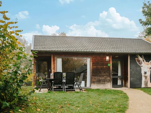 Vakantiepark Dierenbos - Meierijstad - Afbeelding N°0