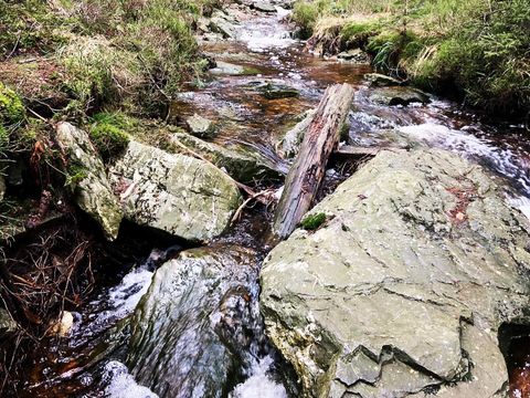 Camping Oos Heem - Luik - Afbeelding N°4