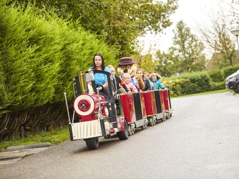 Vakantiepark Hof van Zeeland - Borsele - Afbeelding N°11