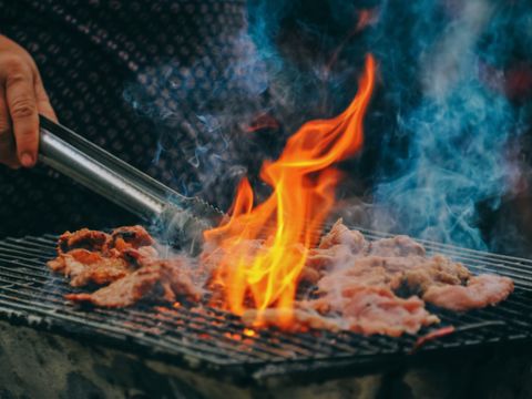 Vakantiepark 't Broeckhuys - Beuningen