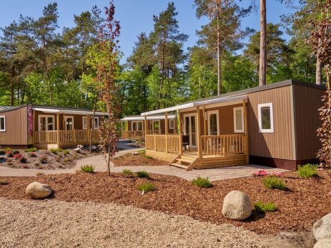 Vakantiepark Het Lierderholt - Apeldoorn - Afbeelding N°14