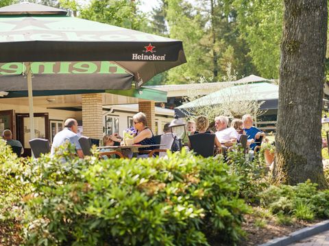 Vakantiepark Het Lierderholt - Apeldoorn - Afbeelding N°13