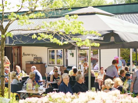 Vakantiepark Het Lierderholt - Apeldoorn - Afbeelding N°12