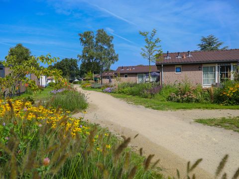 Recreatiepark De Boshoek - Barneveld - Afbeelding N°7