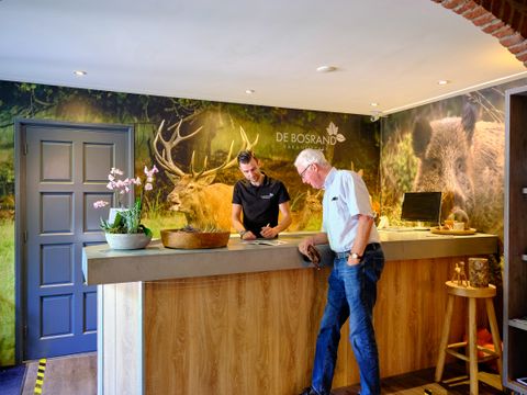 Vakantiepark De Bosrand - Epe - Afbeelding N°2