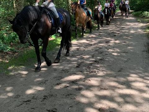 Vakantieoord De Bronzen Emmer - Coevorden - Afbeelding N°3