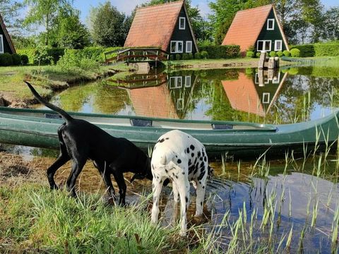 Vakantiepark Eigen Wijze - Noordoostpolder