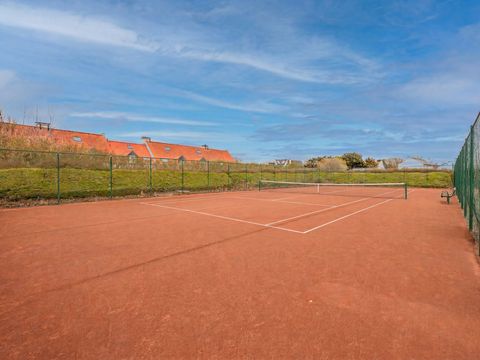 Zeepark De Haan-Wenduine - West-Vlaanderen - Afbeelding N°3