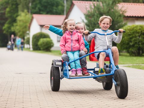 Trixi Ferienpark Zittauer Gebirge - Saksen - Afbeelding N°2