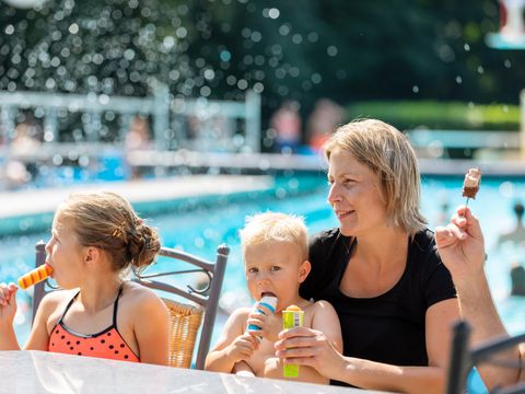 Landal Hunzepark - Aa en Hunze - Afbeelding N°2