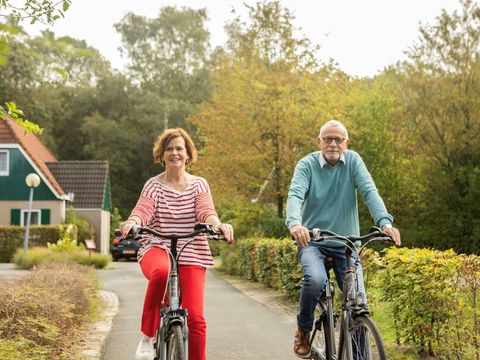 Landal Hunerwold State - Westerveld - Afbeelding N°4