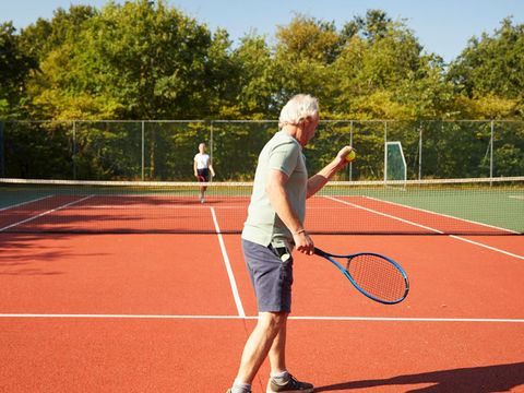 Landal De Vlegge - Hardenberg