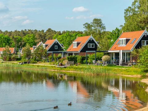 EuroParcs De Zanding - Ede - Afbeelding N°43