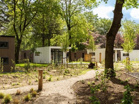 TopParken Bospark Ede - Ede - Afbeelding N°33