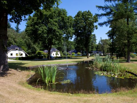 TopParken Bospark Ede - Ede - Afbeelding N°34
