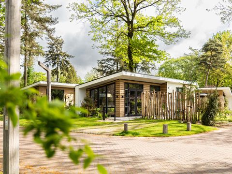TopParken Bospark Ede - Ede - Afbeelding N°29