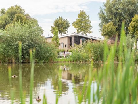 TopParken Recreatiepark Het Esmeer - Zaltbommel - Afbeelding N°9