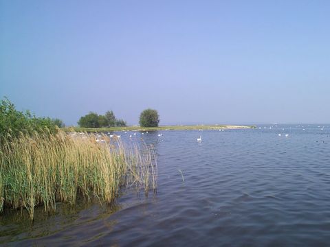 EuroParcs Bad Hoophuizen - Apeldoorn - Afbeelding N°41
