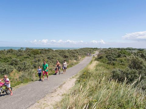 Molecaten Park Hoogduin - Cadzand - Afbeelding N°2