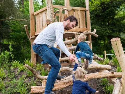 Landal Bungalowpark Hoenderloo - Apeldoorn - Afbeelding N°3