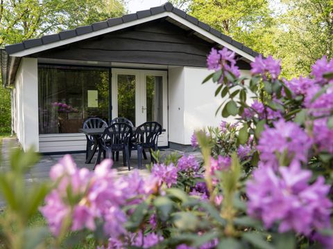 Vakantiepark Westerbergen - Camping De Wolden - Afbeelding N°0