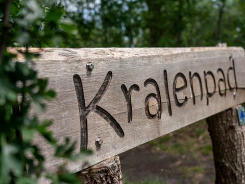 Vakantiepark Westerbergen - De Wolden - Afbeelding N°53