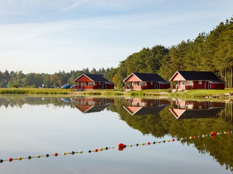 RCN Vakantiepark de Flaasbloem - Goirle - Afbeelding N°50