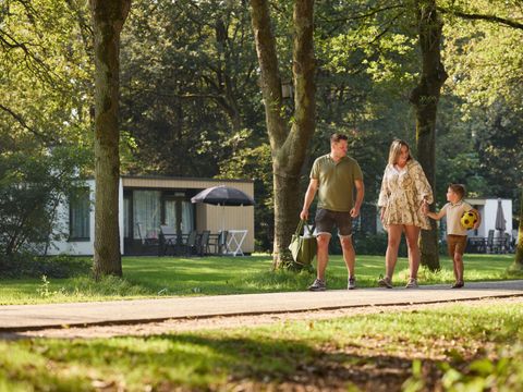 RCN Vakantiepark de Flaasbloem - Goirle - Afbeelding N°31