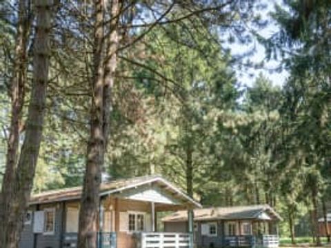 RCN Vakantiepark de Flaasbloem - Goirle - Afbeelding N°0