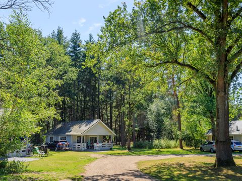 RCN Vakantiepark de Flaasbloem - Goirle - Afbeelding N°49