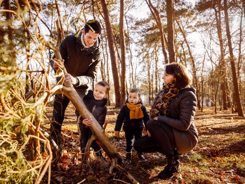 RCN Vakantiepark de Flaasbloem - Camping Goirle - Afbeelding N°2