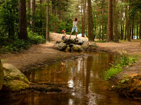 RCN Vakantiepark de Flaasbloem - Camping Goirle - Afbeelding N°3