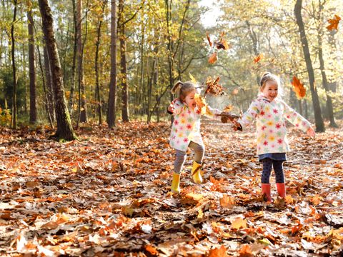 RCN Vakantiepark de Flaasbloem - Camping Goirle