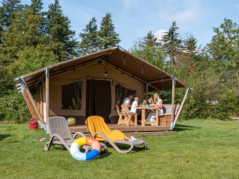 RCN Vakantiepark De Roggeberg - Camping Ooststellingwerf - Afbeelding N°3