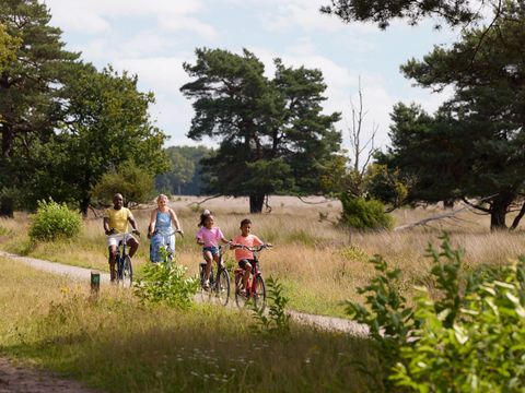 RCN Vakantiepark de Noordster - Westerveld - Afbeelding N°31