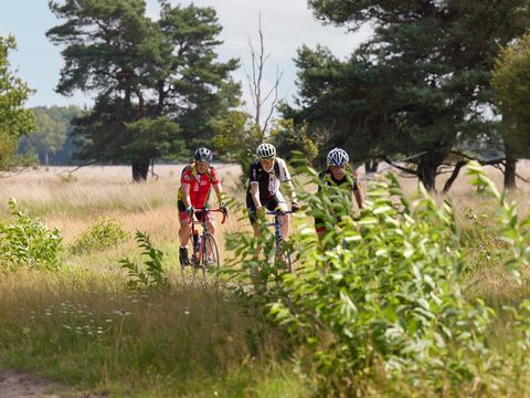 RCN Vakantiepark de Noordster - Westerveld