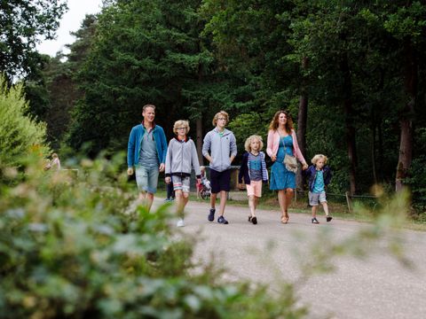 RCN Vakantiepark de Noordster - Westerveld