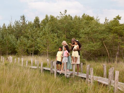 RCN Vakantiepark de Noordster - Westerveld - Afbeelding N°35