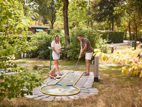 RCN Vakantiepark de Noordster - Westerveld - Afbeelding N°12