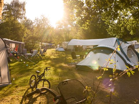 RCN Vakantiepark de Noordster - Westerveld - Afbeelding N°27