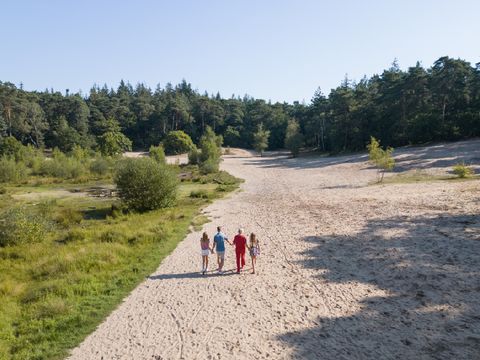 RCN Vakantiepark het Grote Bos - Utrechtse Heuvelrug