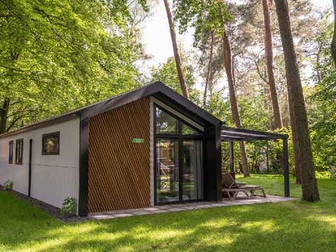 RCN Vakantiepark het Grote Bos - Utrechtse Heuvelrug - Afbeelding N°0