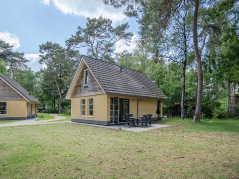 RCN Vakantiepark het Grote Bos - Utrechtse Heuvelrug - Afbeelding N°0