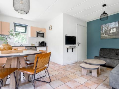 RCN Vakantiepark het Grote Bos - Utrechtse Heuvelrug - Afbeelding N°2