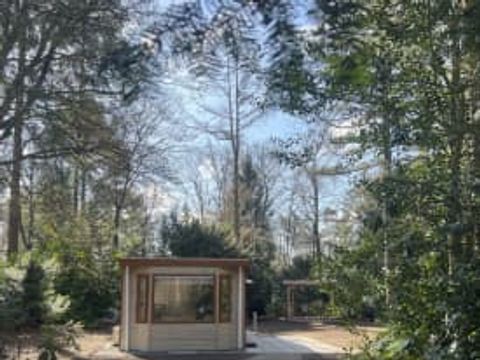 RCN Vakantiepark het Grote Bos - Utrechtse Heuvelrug - Afbeelding N°0